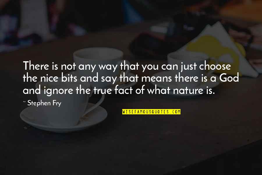 Stephen Fry God Quotes By Stephen Fry: There is not any way that you can