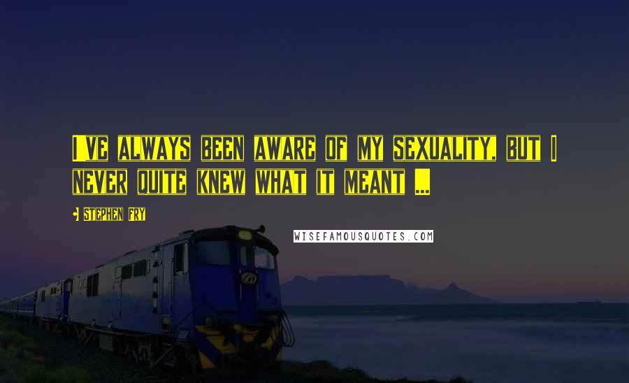 Stephen Fry quotes: I've always been aware of my sexuality, but I never quite knew what it meant ...
