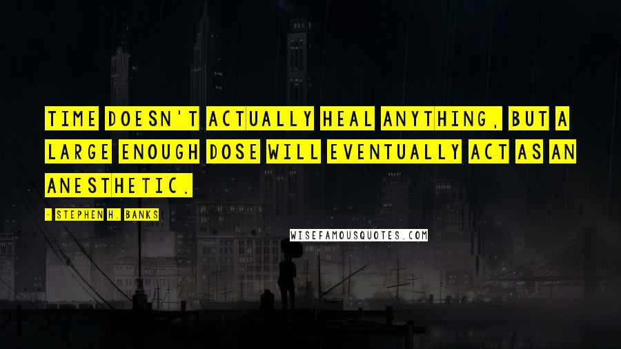 Stephen H. Banks quotes: Time doesn't actually heal anything, but a large enough dose will eventually act as an anesthetic.