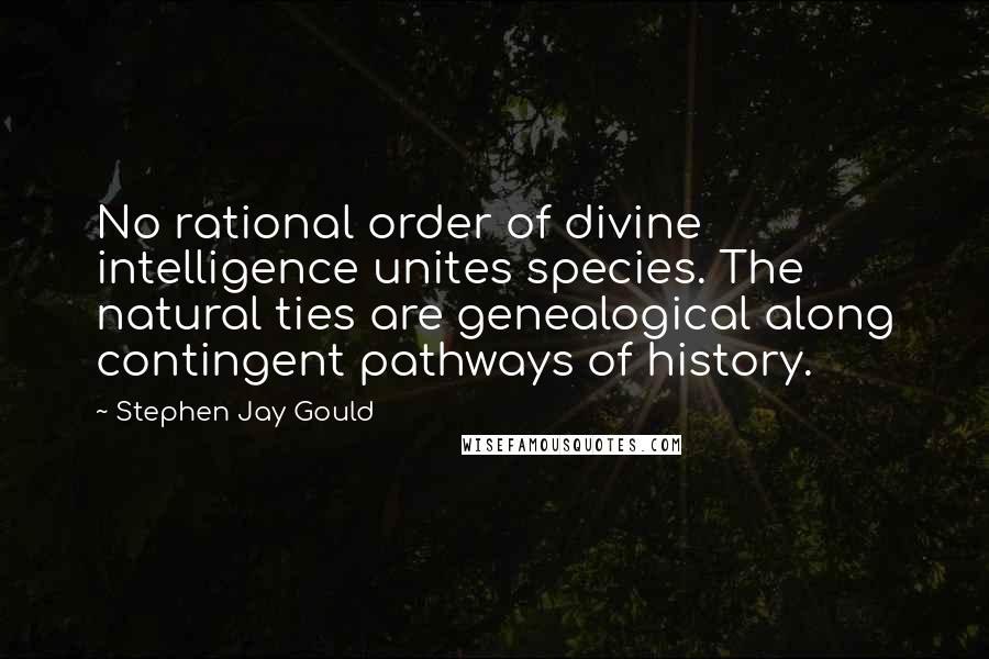 Stephen Jay Gould quotes: No rational order of divine intelligence unites species. The natural ties are genealogical along contingent pathways of history. Stephen Jay Gould quotes: No rational order of divine intelligence unites species. The natural ties are genealogical along contingent pathways of history.