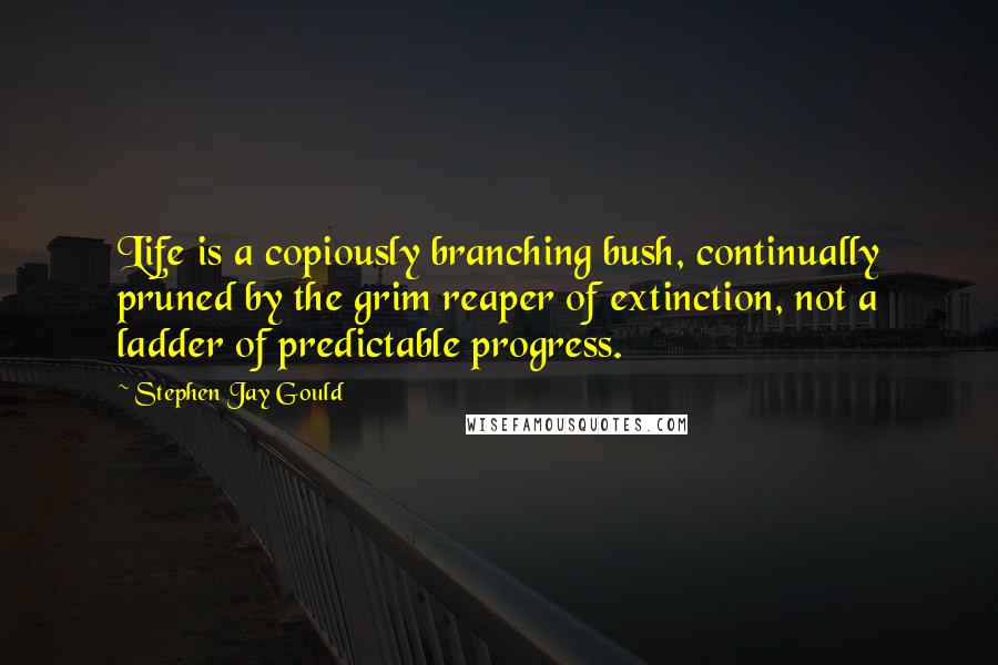 Stephen Jay Gould quotes: Life is a copiously branching bush, continually pruned by the grim reaper of extinction, not a ladder of predictable progress.