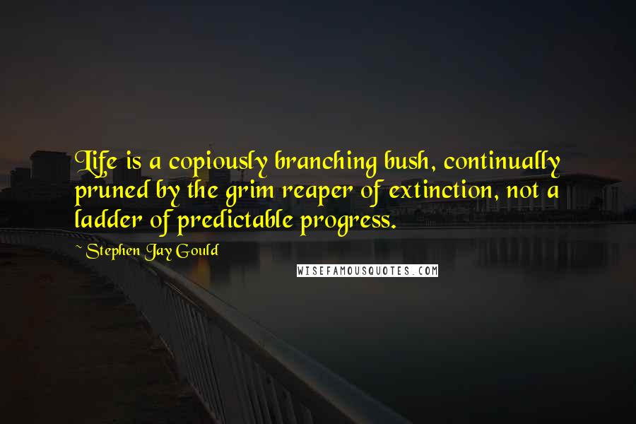 Stephen Jay Gould quotes: Life is a copiously branching bush, continually pruned by the grim reaper of extinction, not a ladder of predictable progress. Stephen Jay Gould quotes: Life is a copiously branching bush, continually pruned by the grim reaper of extinction, not a ladder of predictable progress.