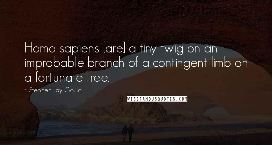 Stephen Jay Gould quotes: Homo sapiens [are] a tiny twig on an improbable branch of a contingent limb on a fortunate tree.