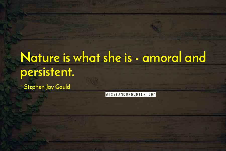 Stephen Jay Gould quotes: Nature is what she is - amoral and persistent.