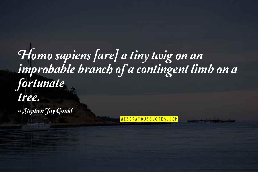 Stephen Jay Gould Quotes By Stephen Jay Gould: Homo sapiens [are] a tiny twig on an