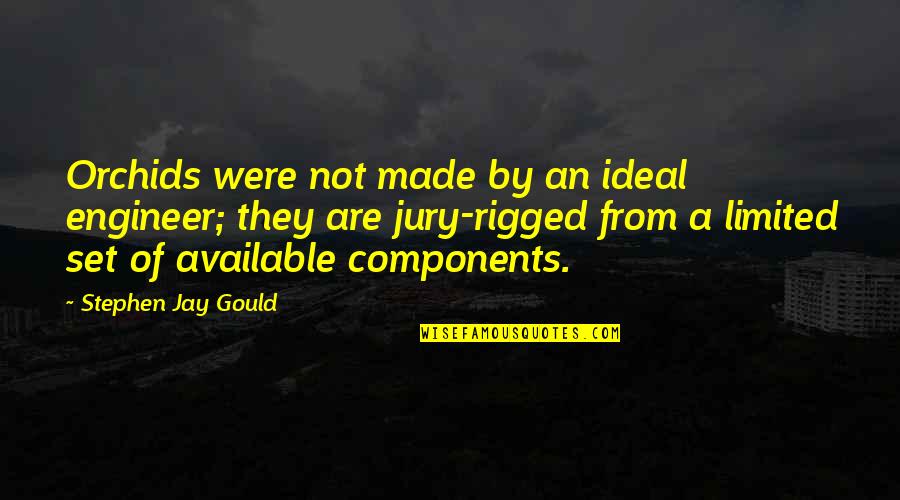 Stephen Jay Gould Quotes By Stephen Jay Gould: Orchids were not made by an ideal engineer; Stephen Jay Gould Quotes By Stephen Jay Gould: Orchids were not made by an ideal engineer;