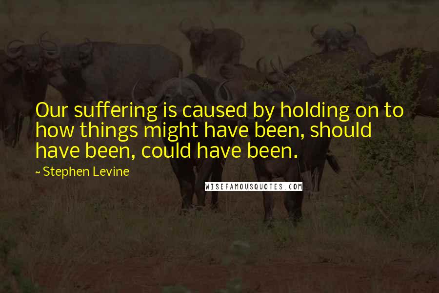 Stephen Levine quotes: Our suffering is caused by holding on to how things might have been, should have been, could have been.