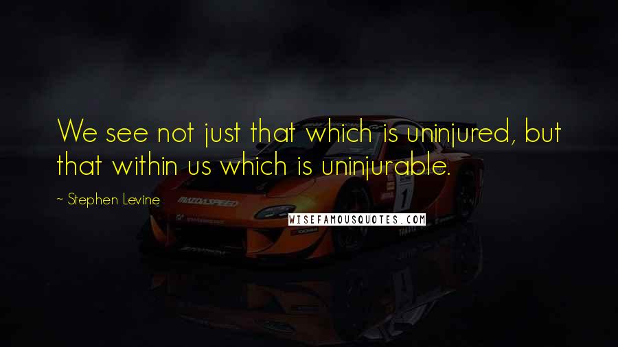 Stephen Levine quotes: We see not just that which is uninjured, but that within us which is uninjurable.