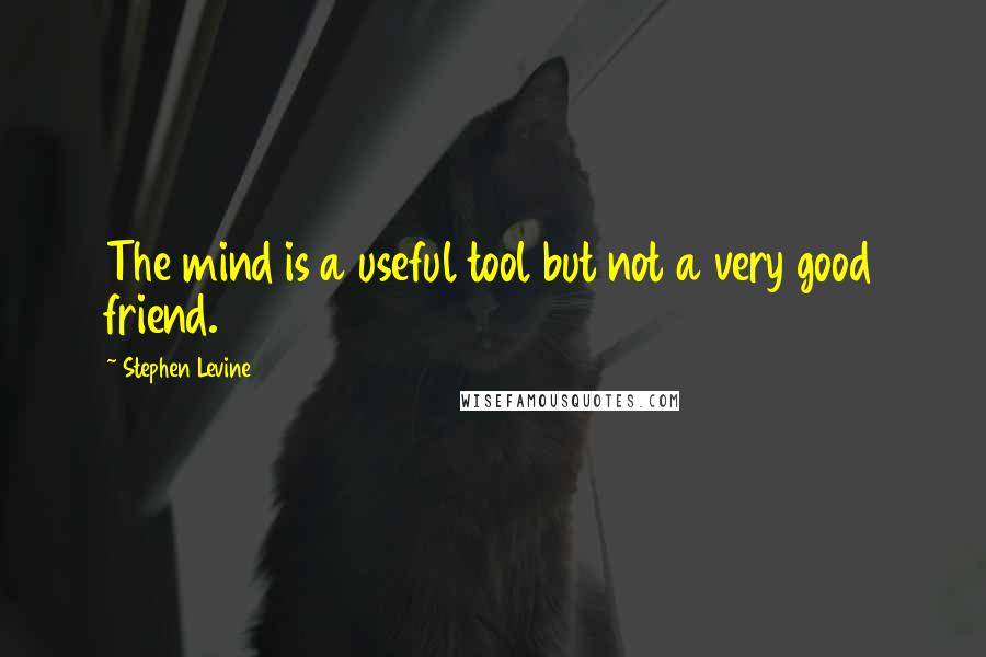 Stephen Levine quotes: The mind is a useful tool but not a very good friend.
