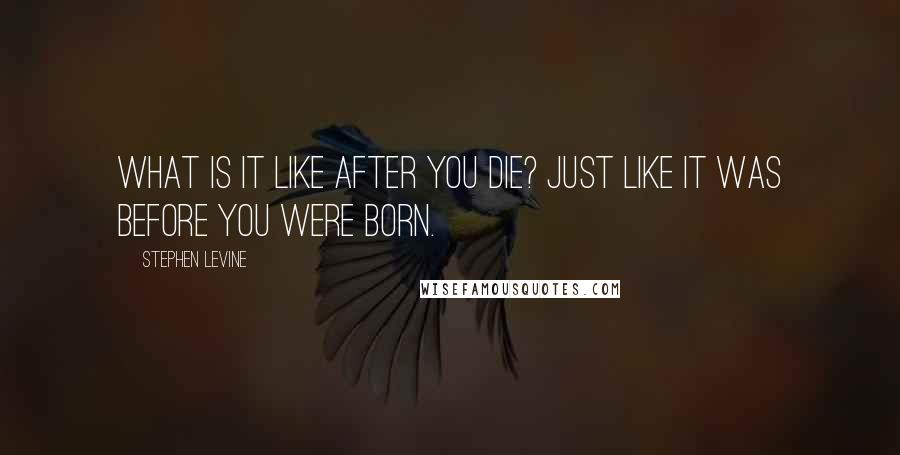 Stephen Levine quotes: What is it like after you die? Just like it was before you were born.