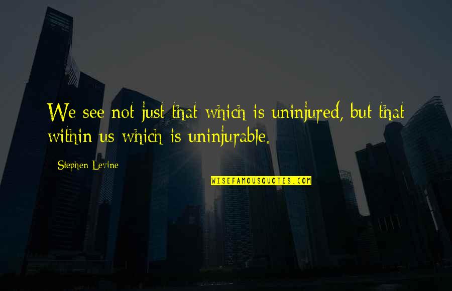 Stephen Levine Quotes By Stephen Levine: We see not just that which is uninjured,