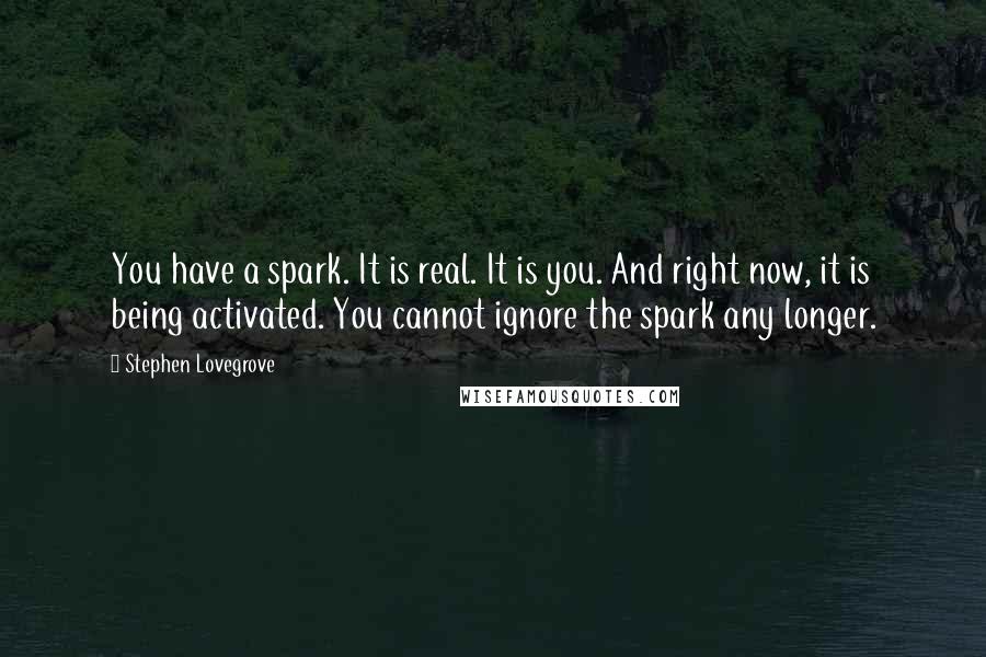Stephen Lovegrove quotes: You have a spark. It is real. It is you. And right now, it is being activated. You cannot ignore the spark any longer.