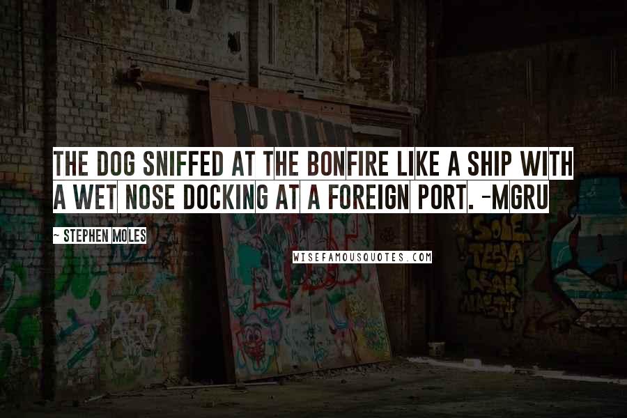 Stephen Moles quotes: The dog sniffed at the bonfire like a ship with a wet nose docking at a foreign port. -Mgru