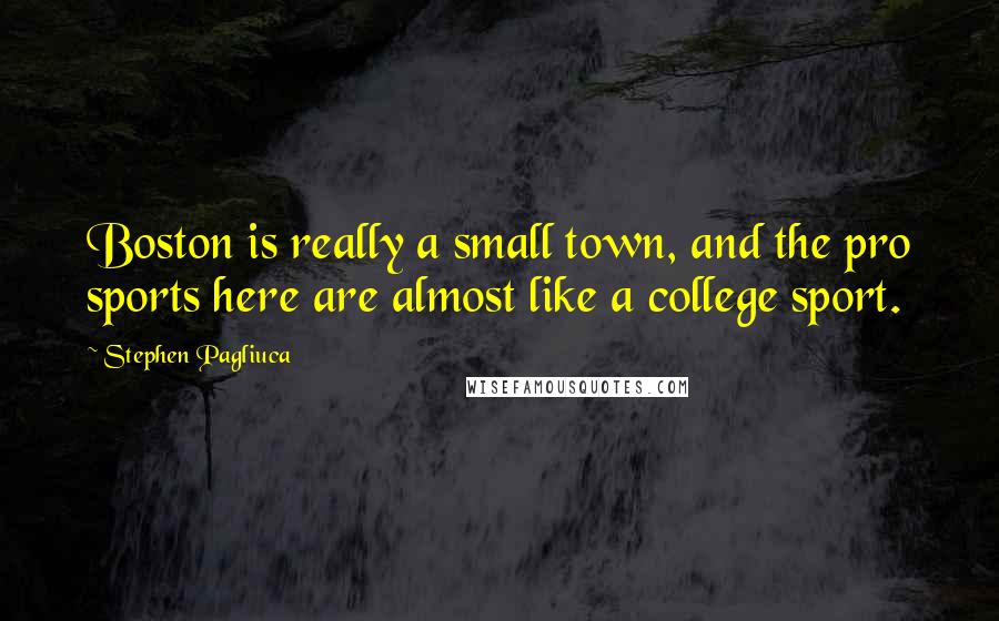 Stephen Pagliuca quotes: Boston is really a small town, and the pro sports here are almost like a college sport.