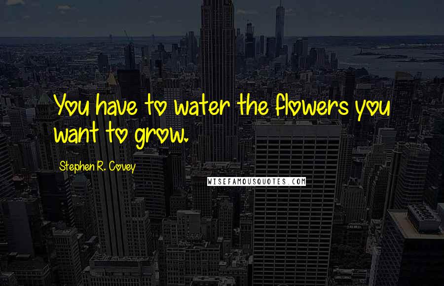 Stephen R. Covey quotes: You have to water the flowers you want to grow.