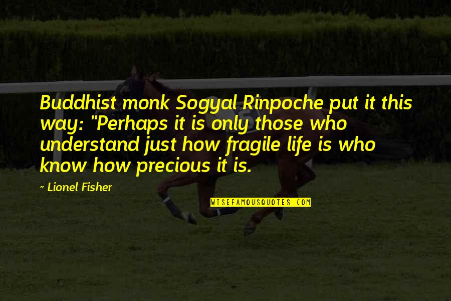 Stephen Stucker Quotes By Lionel Fisher: Buddhist monk Sogyal Rinpoche put it this way: