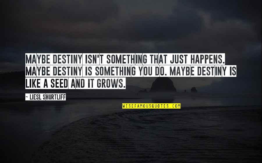 Stephen Van Rensselaer Quotes By Liesl Shurtliff: Maybe destiny isn't something that just happens. Maybe