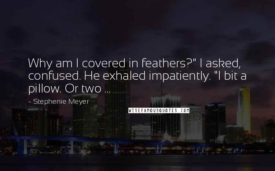 Stephenie Meyer quotes: Why am I covered in feathers?" I asked, confused. He exhaled impatiently. "I bit a pillow. Or two ...