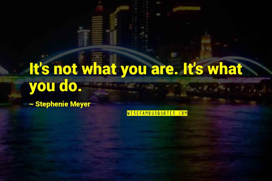 Stephenie Meyer Quotes By Stephenie Meyer: It's not what you are. It's what you