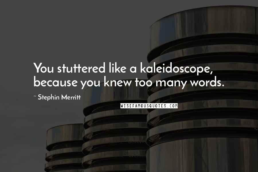 Stephin Merritt quotes: You stuttered like a kaleidoscope, because you knew too many words.