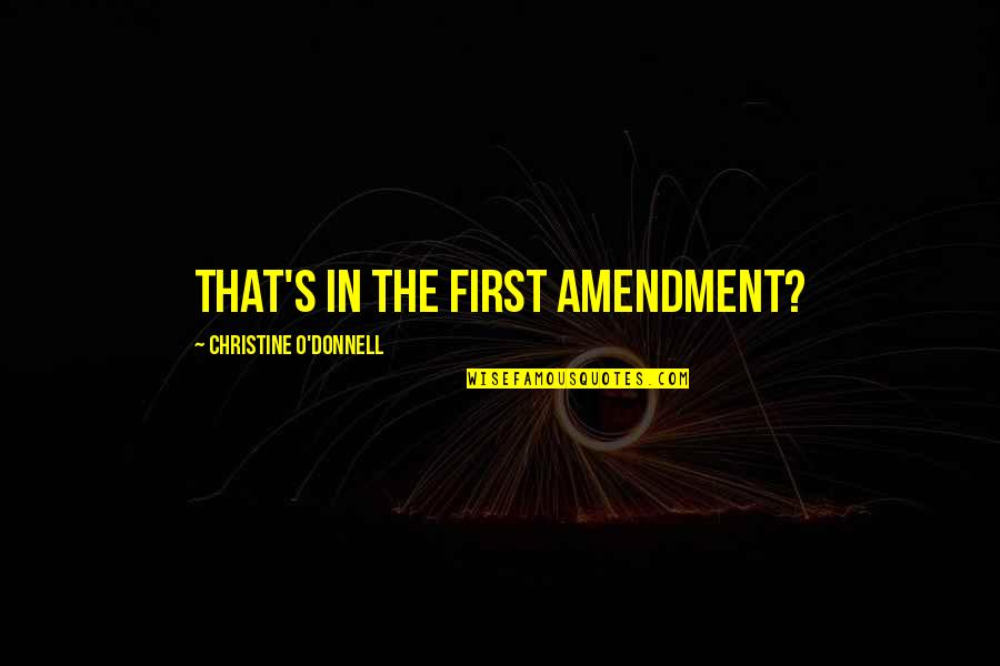 Stephine Quotes By Christine O'Donnell: That's in the First Amendment?