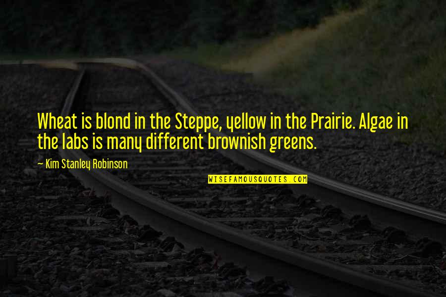 Steppe Quotes By Kim Stanley Robinson: Wheat is blond in the Steppe, yellow in