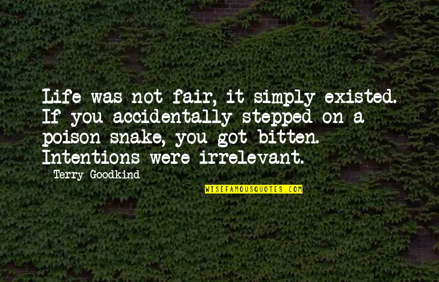 Stepped On Quotes By Terry Goodkind: Life was not fair, it simply existed. If