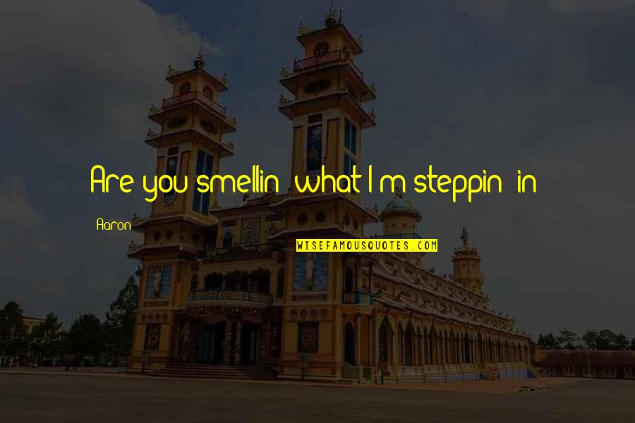Steppin Quotes By Aaron: Are you smellin' what I'm steppin' in?