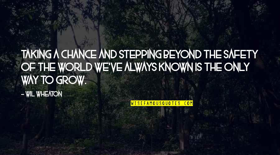 Stepping Out Into The World Quotes By Wil Wheaton: Taking a chance and stepping beyond the safety