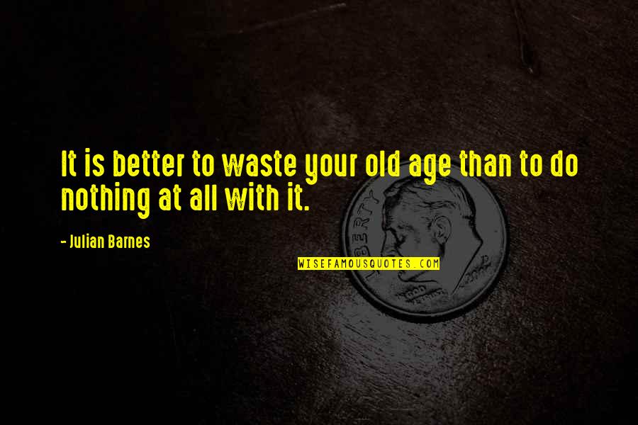 Stepping Stones With Inspirational Quotes By Julian Barnes: It is better to waste your old age