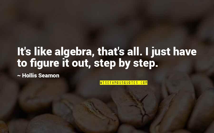 Steps In A Journey Quotes By Hollis Seamon: It's like algebra, that's all. I just have