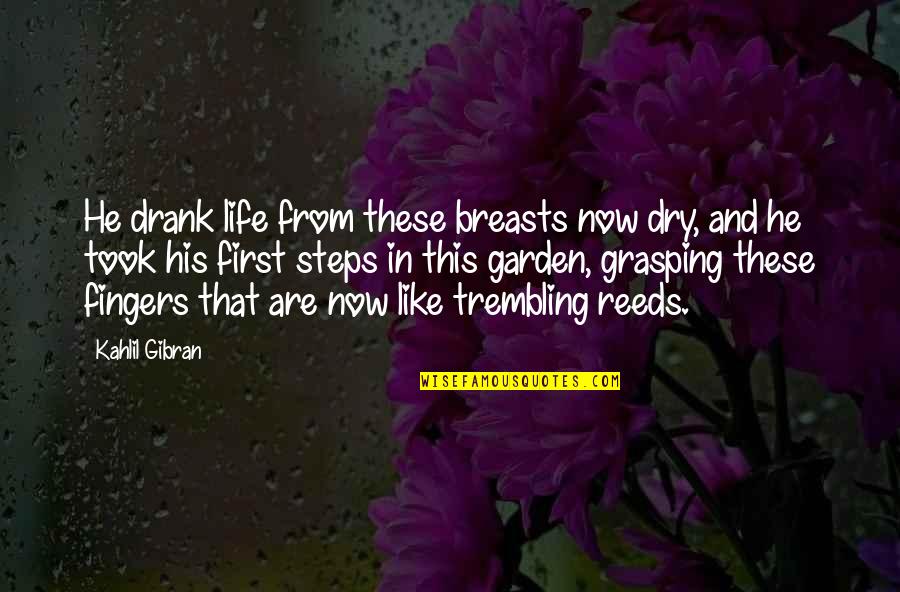 Steps Now Quotes By Kahlil Gibran: He drank life from these breasts now dry, Steps Now Quotes By Kahlil Gibran: He drank life from these breasts now dry,