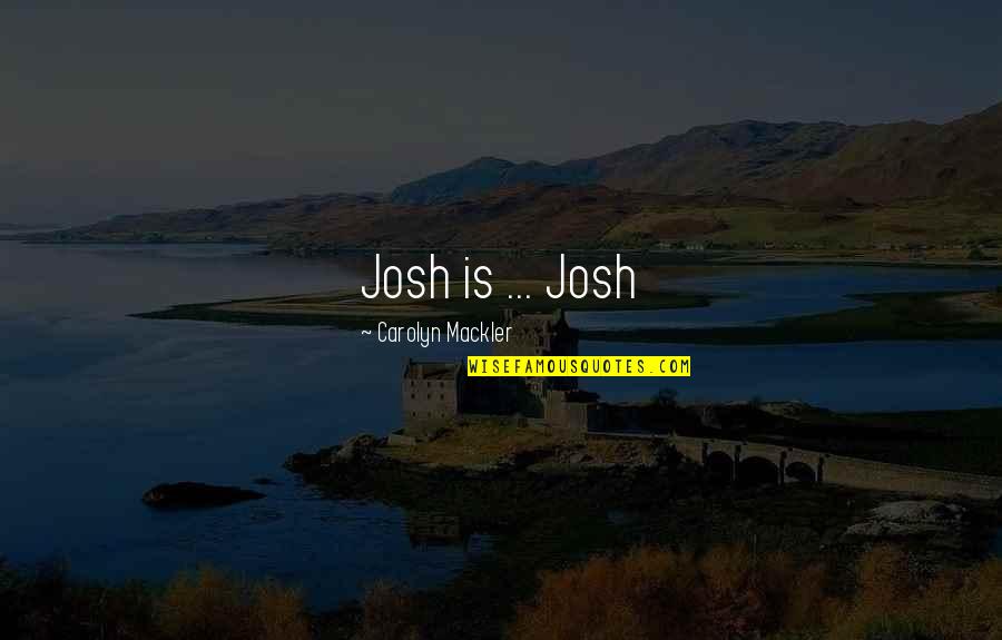 Stereotype Quotes And Quotes By Carolyn Mackler: Josh is ... Josh