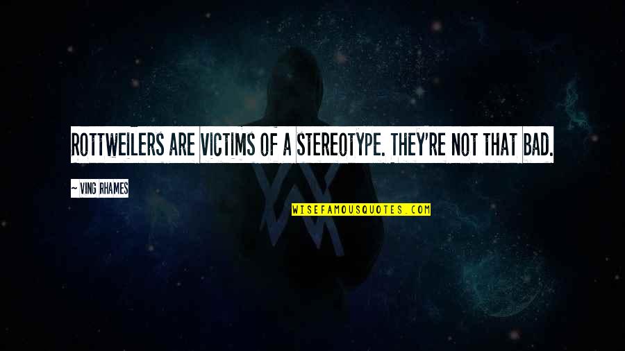 Stereotype Quotes By Ving Rhames: Rottweilers are victims of a stereotype. They're not