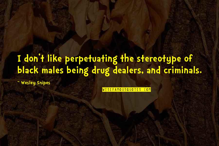 Stereotype Quotes By Wesley Snipes: I don't like perpetuating the stereotype of black