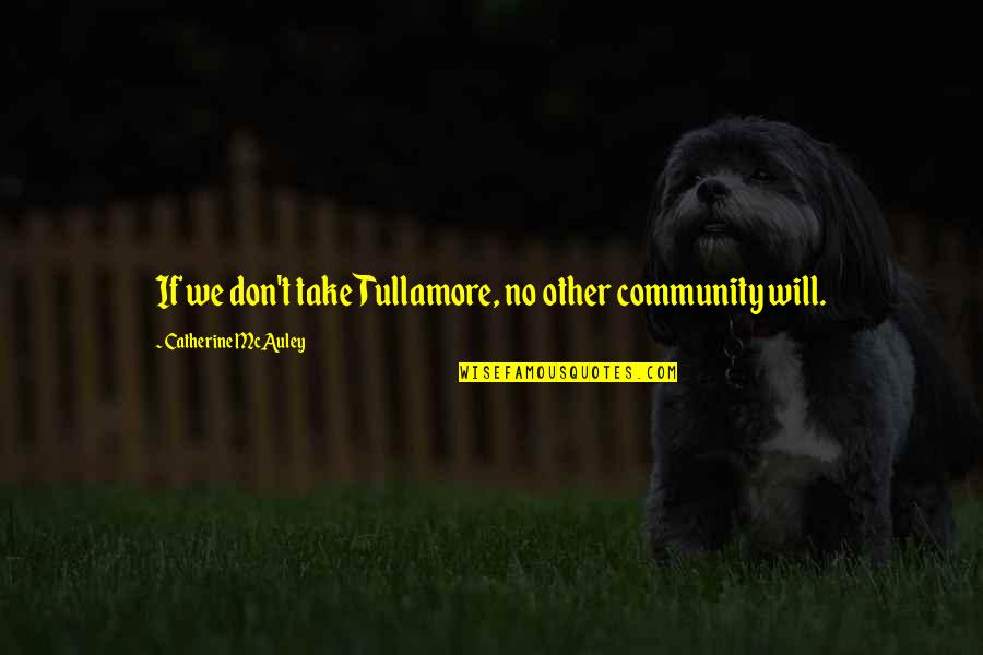 Sterility Quotes By Catherine McAuley: If we don't take Tullamore, no other community