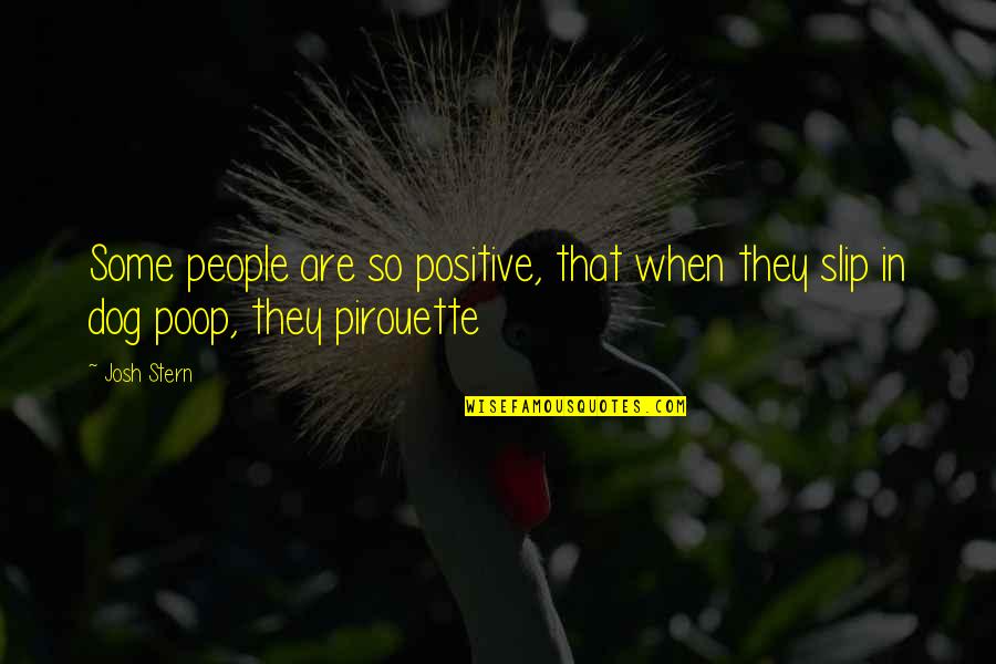 Stern Quotes By Josh Stern: Some people are so positive, that when they