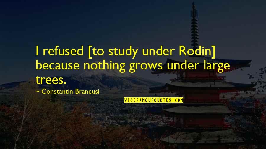 Sterno Fuel Quotes By Constantin Brancusi: I refused [to study under Rodin] because nothing