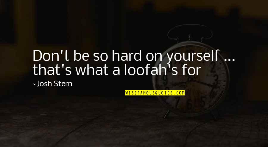 Stern's Quotes By Josh Stern: Don't be so hard on yourself ... that's