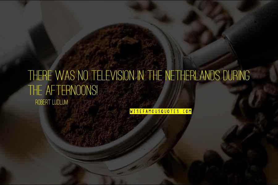 Sterve Quotes By Robert Ludlum: there was no television in the Netherlands during