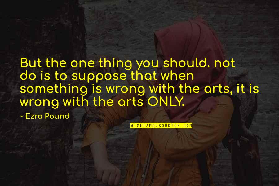 Stessi Quotes By Ezra Pound: But the one thing you should. not do
