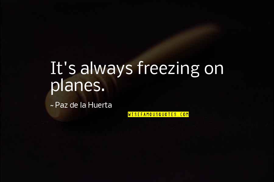 Steter Quotes By Paz De La Huerta: It's always freezing on planes.