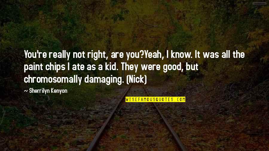 Stets Quotes By Sherrilyn Kenyon: You're really not right, are you?Yeah, I know.