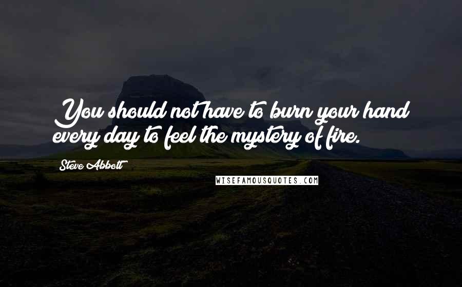 Steve Abbott quotes: You should not have to burn your hand every day to feel the mystery of fire.