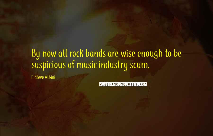 Steve Albini quotes: By now all rock bands are wise enough to be suspicious of music industry scum.