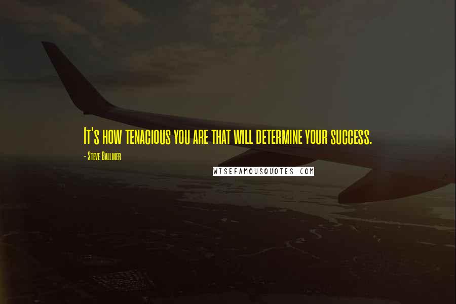 Steve Ballmer quotes: It's how tenacious you are that will determine your success.