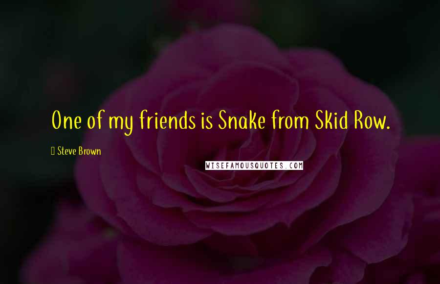 Steve Brown quotes: One of my friends is Snake from Skid Row.