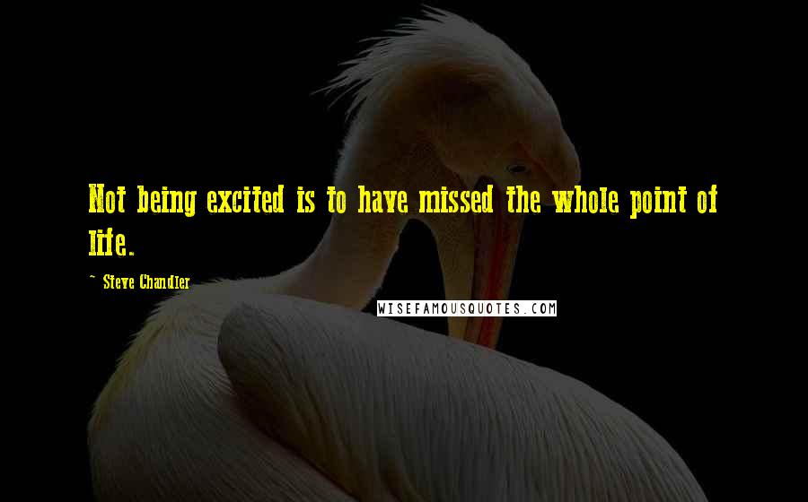 Steve Chandler quotes: Not being excited is to have missed the whole point of life.