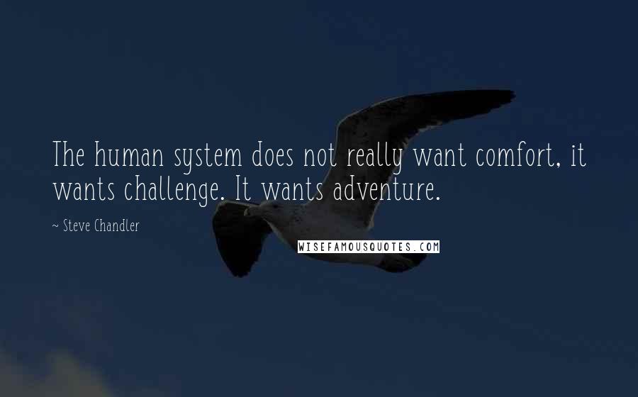 Steve Chandler quotes: The human system does not really want comfort, it wants challenge. It wants adventure.