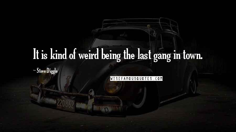 Steve Diggle quotes: It is kind of weird being the last gang in town.